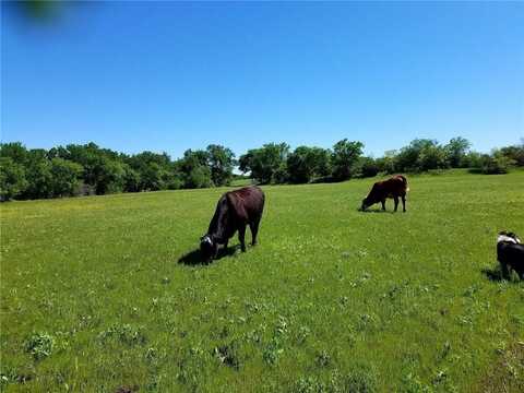 Tbd COUNTY ROAD 2800, Kopperl, TX 76652