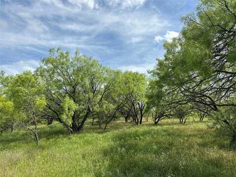 Tract 15 CR 150, Abilene, TX 79601