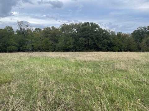 Tbd Beardn Lane, Mingus, TX 76453