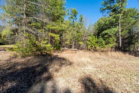 Lot 195 Green Meadow Trail, Holly Lake Ranch, TX 75765