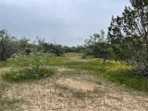 00001 RR 11, Millersview, TX 76862