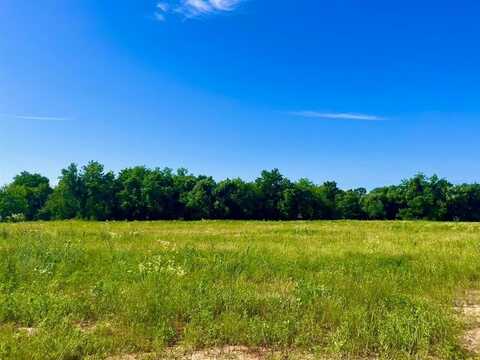 Lot 64 & 65 Kilkenny Rd, Poolville, TX 76487