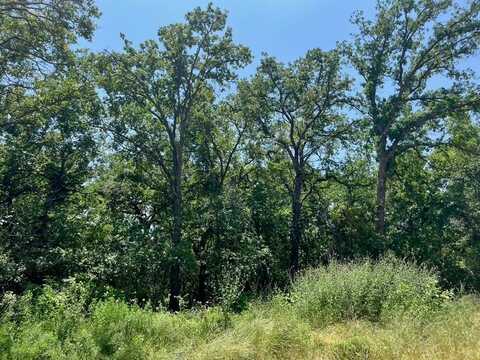 Lot 77 Kilkenny Road, Poolville, TX 76487