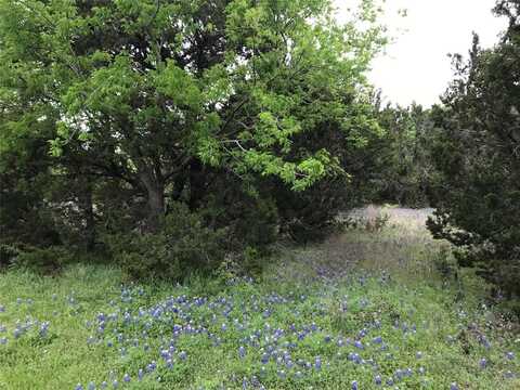 4095 Whitecrest Drive, Whitney, TX 76692