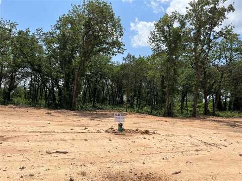 441 Peace Lily Way, Tolar, TX 76476