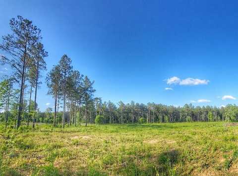 0 Cottonwood, Frierson, LA 71027