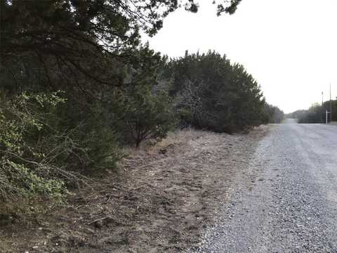 40038 Fringewood Drive, Whitney, TX 76692