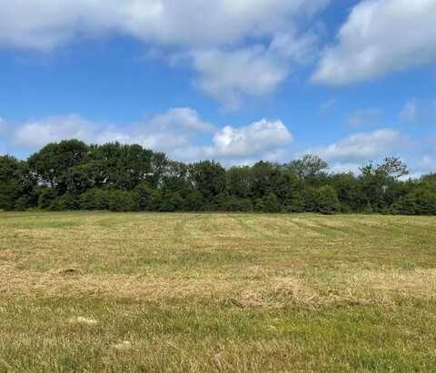 Tbd Lot 12 VZ County Road 3416, Wills Point, TX 75169