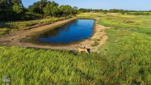 5351 County Road 499, Anson, TX 79501