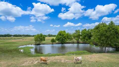 Lot 3 - 10ac Rs County Road 4330, Point, TX 75472