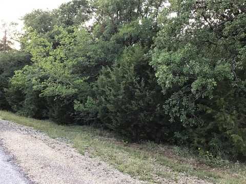 44021 Fringewood Drive, Whitney, TX 76692