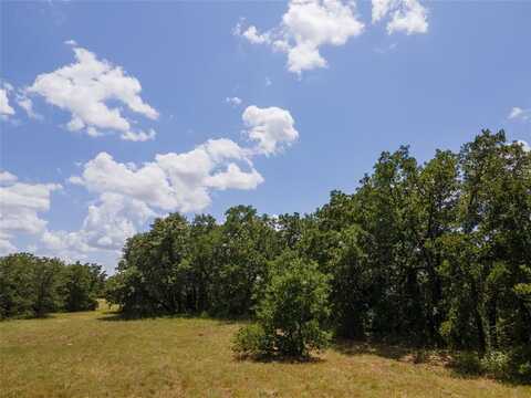 109 Coyote Cave Lane, Alvord, TX 76225