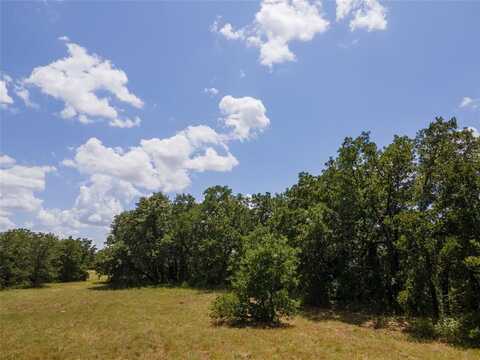 109 Coyote Cave Lane, Alvord, TX 76225