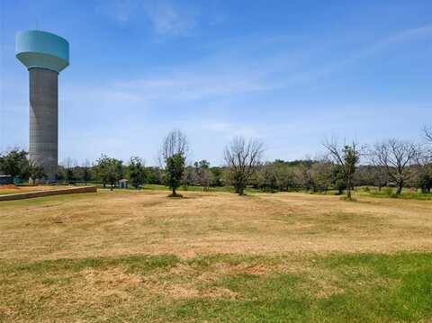 544 High Tower Lane, Granbury, TX 76049