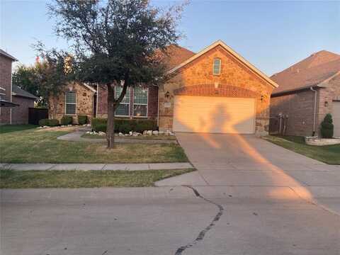 1432 Palestine Drive, Prosper, TX 75078