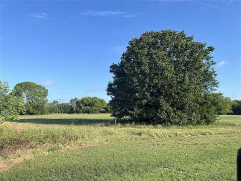 220 Tomahawk Drive, West Tawakoni, TX 75474