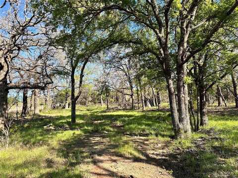 0000 Lot 27 PR 1272, Carlton, TX 76436