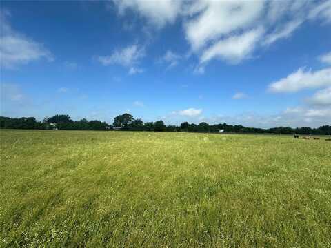 Lot 4 - 10ac CR 4330, Point, TX 75472