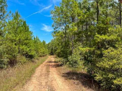 0 Lost Indian Camp Rd, Huntsville, TX 77320