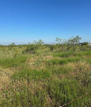 Tract 20 CR 155, Abilene, TX 79601
