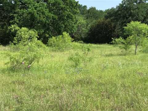 17061 Trailwood Drive, Whitney, TX 76692