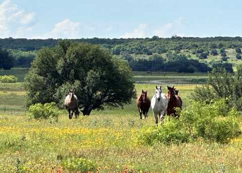 13100 Hwy 377 S  A S, Blanket, TX 76432