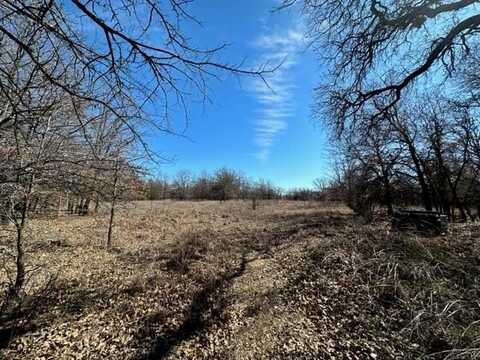 0 Oak Ridge Trail, Bridgeport, TX 76426