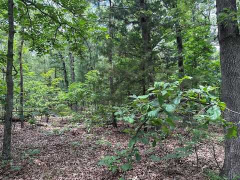 Tbd County Road 2131, Detroit, TX 75436