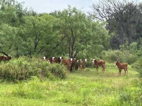 2159 CR 224, San Saba, TX 76877