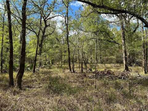 0 Half-Mile East of Hubert Lane, No City, LA 70532