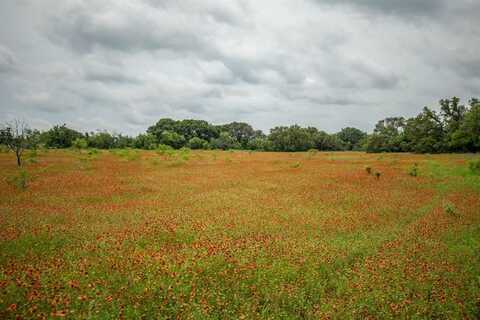 Tract 1 Tbd County Road 292, Early, TX 76802