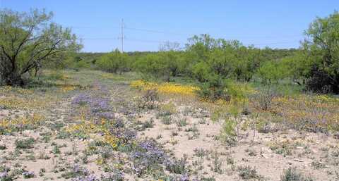 0 Fm 1929, Paint Rock, TX 76866