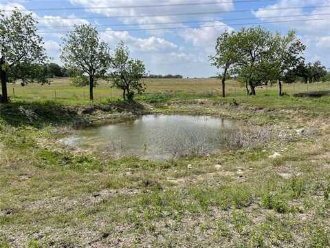 Tbd County Rd 338, Goldthwaite, TX 76844