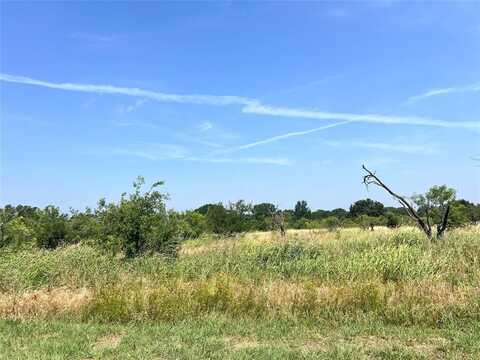 Tbd Lot 65 Falcon Drive, Brownwood, TX 76801