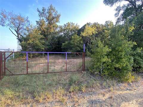 0 Pruitt Mountain Road, Mineral Wells, TX 76067