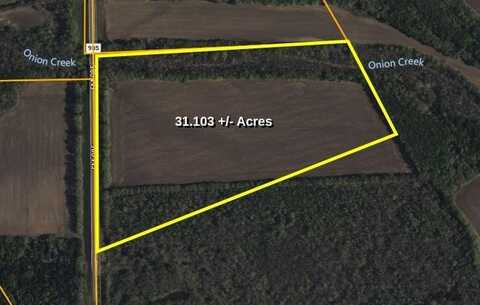 31.043ac-tr1 FM 985, Ennis, TX 75119