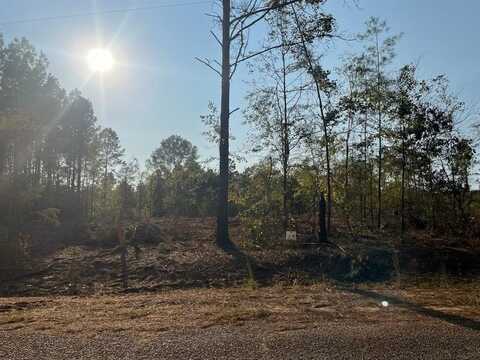 1 Lake Road, Plain Dealing, LA 71064