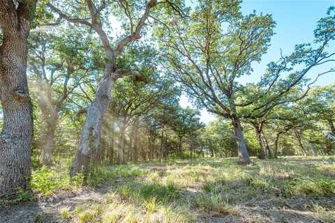 Lot 6 CR 297, Gainesville, TX 76240