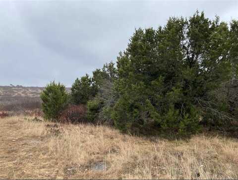 Lot 22 S Glen Abby Drive, Leakey, TX 76449