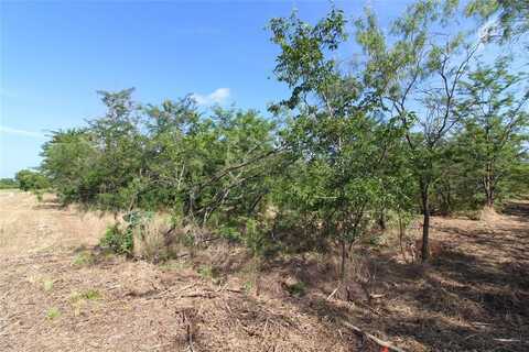 Tbd Lot 6 FM 2860, Kaufman, TX 75142