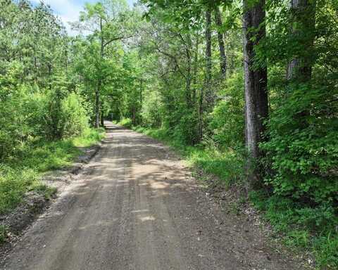 000 County Road 3709, Colmesneil, TX 75938