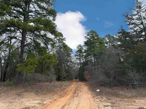 Tbd King Bruce Road, Scroggins, TX 75480