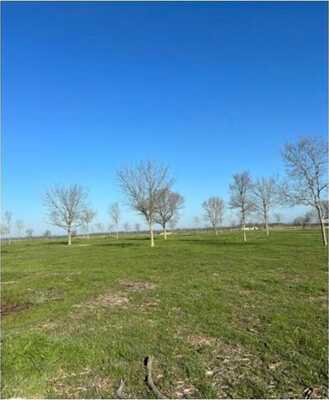 Lot 174 and Boat Slip #7 Waterfront Club, Corsicana, TX 75109