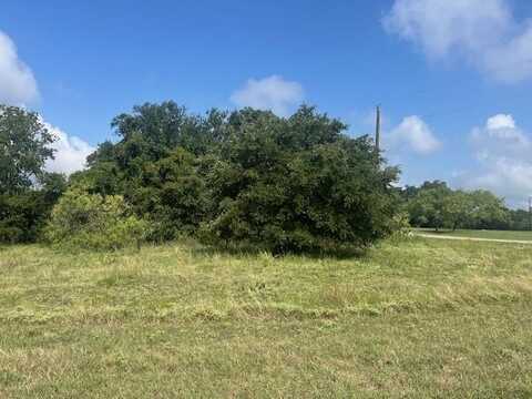 37050 woodacre Loop, Whitney, TX 76692