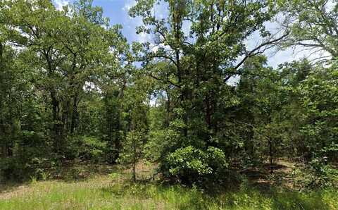 Tba Lot 1550 Goliad, Log Cabin, TX 75148