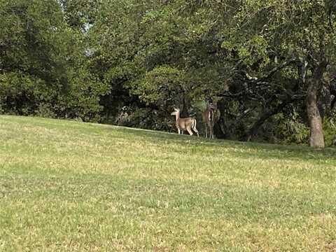 15039 Golf Drive, Whitney, TX 76692