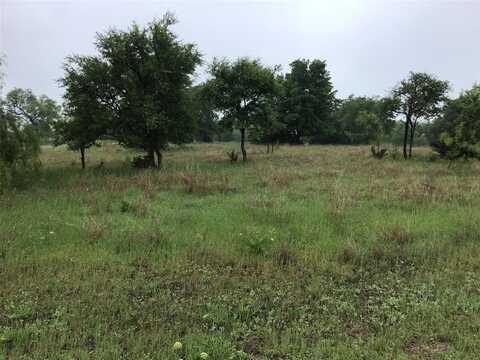 42122 Crooked Stick Drive, Whitney, TX 76692