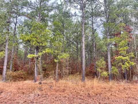 104 Buffalo Road, Benton, LA 71006