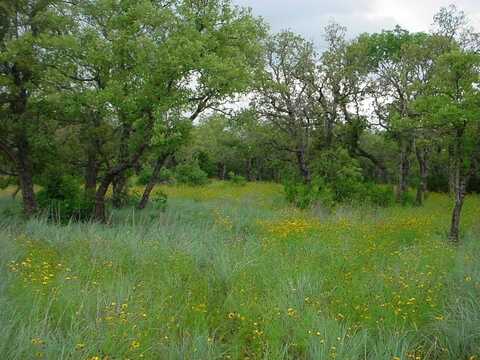 6h Stagecoach Trail, Gordon, TX 76453