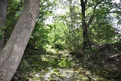 Lot 17 PR 4000, Gainesville, TX 76240